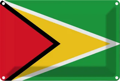 Produktbild von vianmo Blechschild 12x18 cm Guyanas Guyana Flagge Fahne Wappen