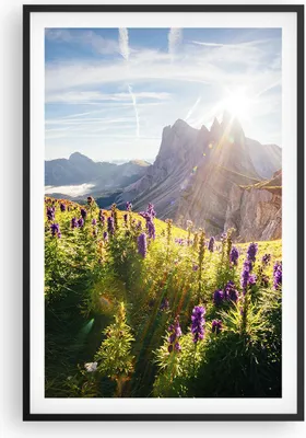 Produktbild von Gerahmtes Poster - Schwarzer Rahmen - Berge Wiese Blumen - 61x91,5 cm - Wand Bild - Wanddeko - Wandbilder - Kunstposter - Wandposter - Bilderrahmen - Bilder - Kunstdruck - Wandbild - P2BPA61x91-4008