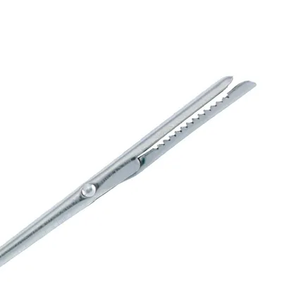 Immagine prodotto di Ago per lardellare Westmark in acciaio inox