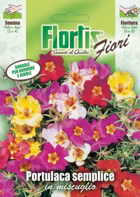 Produktbild von Portulakröschen Mischung | Portulakröschensamen von Flortis