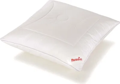 A white pillow is shown on a white background.
