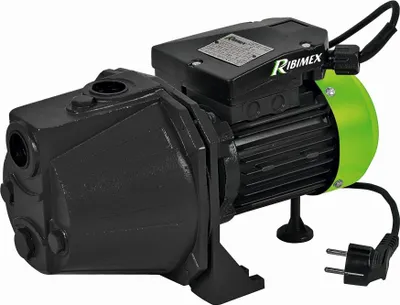 Immagine prodotto di Pompa di superficie autoadescante 970w Ribiland PRJET101