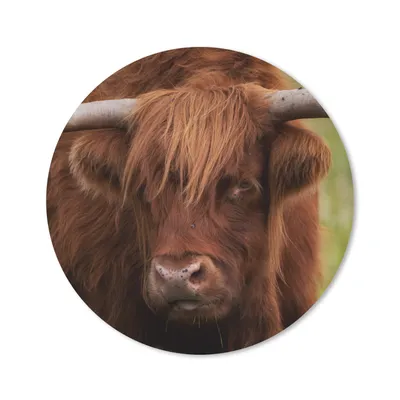 Produktbild von MuchoWow® Mauspad Mousepad Schottischer Highlander - Orange - Tiere 30x30 cm - Mousepads - Maus Mat - Pad - Mausunterlage - Tischunterlage - Schreibtischmatten