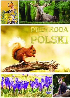 Image de Przyroda Polski