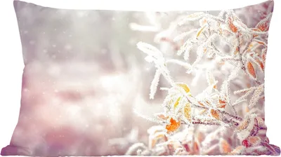 Produktbild von MuchoWow® Zierkissen Sofakissen Wohnzimmer Dekokissen 60x40 cm Winter - Äste - Schnee - Natur - Kopfkissen - Polster mit Foto