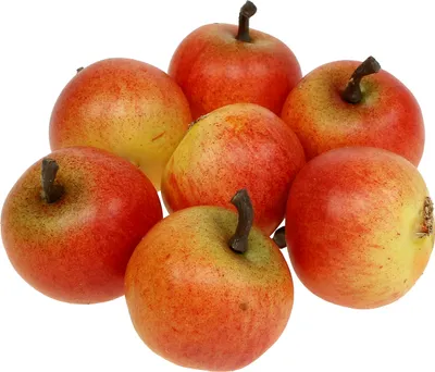 Produktbild von Künstliche Deko-Äpfel für Herbstdekoration und Streudeko, 24 Stück