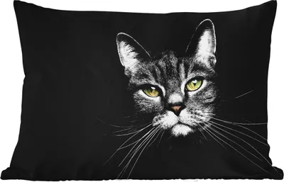 Produktbild von MuchoWow® Outdoor Kissen - Haustiere - Katze - Tiere - Schwarz - Weiß - 60x40 cm - Wetterfest - Lounge Kissen - Zierkissen - Kissen für Innenräume