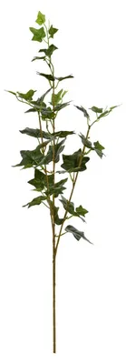 Produktbild von Efeustiel nelia, h. 80 cm, grün  - Atmosphera créateur d'intérieur
