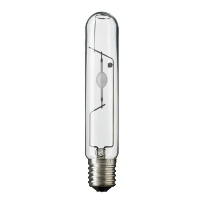 A studio shot of a single light bulb against a white background.