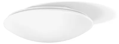 Zdjęcie produktu dla Lampa ścienna i sufitowa LED RZB 672058.002.5.1