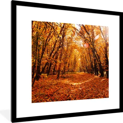 Produktbild von MuchoWow® Gerahmtes Poster Herbst - Wald - Laub - Jahreszeiten 40x40 cm - Poster mit Schwarzem Bilderrahmen Wandposter Rahmen Foto Bilder - Poster - Plakat im Rahmen