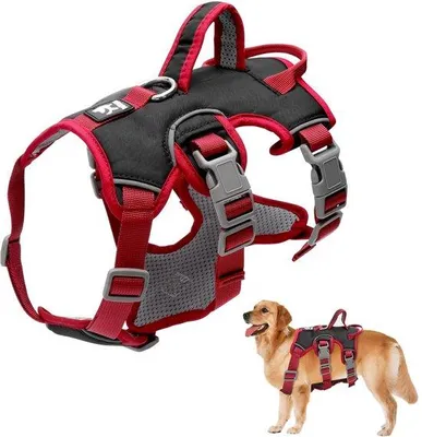 Produktbild von Hundehalsband - Sicherheitsgurt mit Griff - Antischleudernd und Reflexionsfähig
