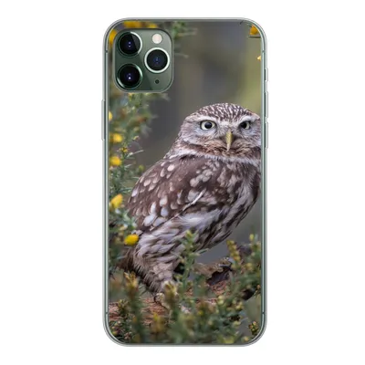 Produktbild von MuchoWow® Handyhülle Schutzhülle Hülle für iPhone 11 Pro Max Eine kleine braune Eule sitzt da und starrt nach vorne Silikon Softcase Handy Hülle - Schutz