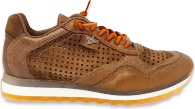 Image de Cetti Sneakers 10225-638465 in Brown color size 41