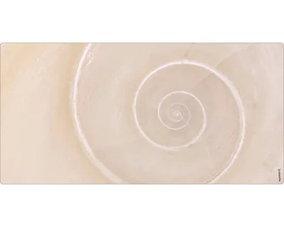 Produktbild von Badrückwand mySPOTTI aqua Schnecke 90x45 cm