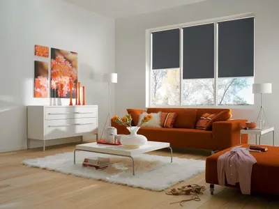Akku-Rollgurke, Polyester, Anthrazit, 90x180 cm, App-Steuerung