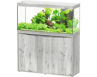 Produktbild von Aquariumkombination aquatlantis Splendid 240 inkl. LED-Beleuchtung, Filter, Unterschrank Esche weiß