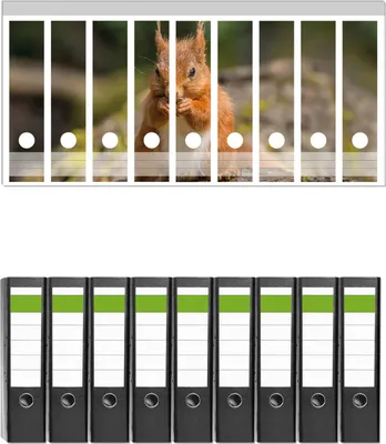 Produktbild von Wallario 9 Stück breite Ordner inkl. Klebeetiketten mit Motive Niedliches Eichhörnchen knabbert an einer Nuss -  Set mit Rückenschildern / Ordnerrücken Stickern