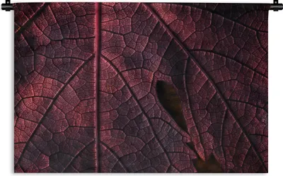 Produktbild von MuchoWow® Wandteppich Wandbehang Abstrakt - Rot - Blätter - Pflanze 120x80 cm Tapisserie Dekoration Wandtuch - Wanddekorationen - Wandtücher