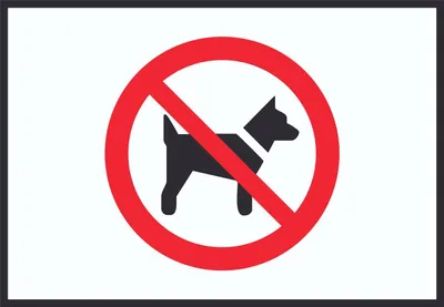 Produktbild von Mitführen von Hunden verboten Symbol Schild A5 Rückseite selbstklebend