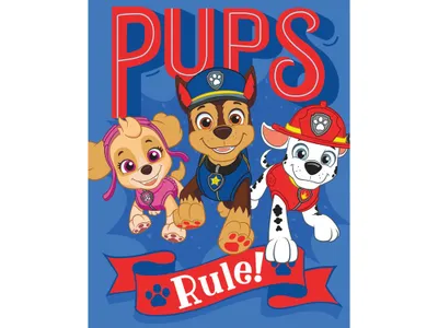 Obrázok produktu pre Fleecová deka Tlapková patrola - Paw Patrol - Pups Rule