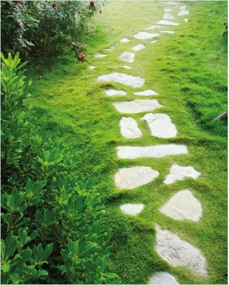 Produktbild von Wallario Poster - Steinweg im Grünen, Kunstdruck Größe: 40 x 50 cm