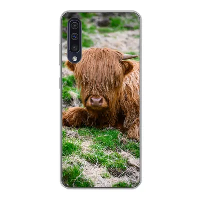 Produktbild von MuchoWow® Handyhülle Schutzhülle Hülle für Samsung Galaxy A30s Schottischer Highlander - Heu - Gras Silikon Softcase Handy Hülle - Karteninhaber