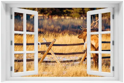 Produktbild von Wallario Premium Glasbild mit Fensterrahmen, freischwebende Optik, kräftige Farben, Größe 60 x 90 cm Motiv Elch im Schnee - im Hochland von Colorado