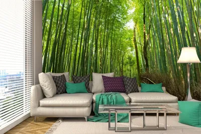 Produktbild von Vlies Fototapete BAMBUSHAIN 375 x 250 cm (inkl. Kleister) - Vlies Tapete, Wandtapete, Wandbilder - Tapete für Wohnzimmer Schlafzimmer, Büro, Küche - Montagefertig