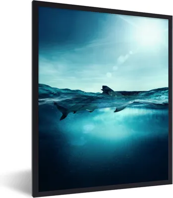 Produktbild von MuchoWow® MuchoWow® Gerahmtes Poster Meer - Hai - Blau 30x40 cm - Poster mit zchwarzem Bilderrahmen - Wanddeko - Kunstdrucke