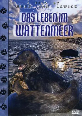 Zdjęcie produktu dla Das Leben im Wattenmeer
