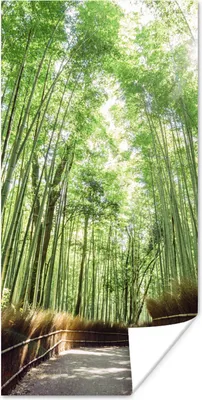 Produktbild von MuchoWow® Poster Bambushain in Arashiyama Japan 20x40 cm - Plakat - Foto