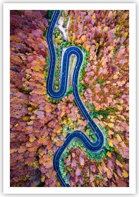 Produktbild von Poster - Poster ohne Rahmen - Kurvenreich Weg Wald - 70x100 cm - Wand Bild - Wanddeko - Wandbilder - Kunstposter - Wandposter - Bilder - Kunstdruck - Wanddekoration - Wandbild - P2XPA70x100-4291