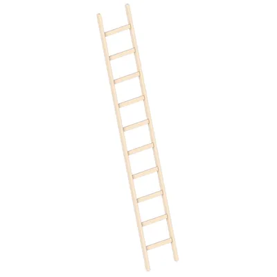 Produktbild von Layher 1052 Holzanlegeleiter 10 Sprossen