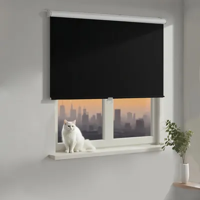 Klemmfix-Rollo, verdunkelnd, B45 x H100 cm, schwarz