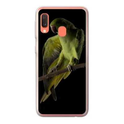 Produktbild von MuchoWow® Handyhülle Schutzhülle Hülle für Samsung Galaxy A20e Papagei - Vogel - Zweig Silikon Softcase Handy Hülle