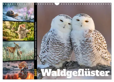Produktbild von Waldgeflüster (Wandkalender 2027 DIN A3 quer), CALVENDO Monatskalender