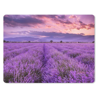 Produktbild von MuchoWow® Mauspad Mousepad Lavendel - Lila - Blumen - Feld 40x30 cm - Mousepads - Maus Mat - Pad - Mausunterlage - Anti Rutsch