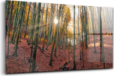 Produktbild von 120x60 - Wandmalerei auf Glas- Wanddekoration aus Glas - Sonnenuntergang und Bäume