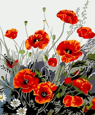 Produktbild von DIY Malen Nach Zahlen für Erwachsene und Kinder Vorgedruckt Leinwand-Ölgemälde Kits Home Haus Dekor mit MEHRWEGVerpackung - Mohn Blumen 16 x 20 Inch