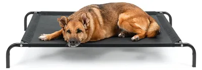 Produktbild von lionto Hundebett aus Textilene-Stoff, (L) 100 x 76 cm, Schwarz