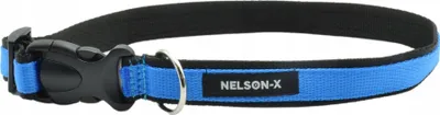 Image de Collier Bicolore Pour Petits Chiens Nelson-X Bicolor 35-45 Cm/2,5 Cm Taille L