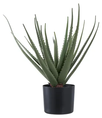 Image de Plante artificielle Aloe Vera en pot noir, 51 cm de haut