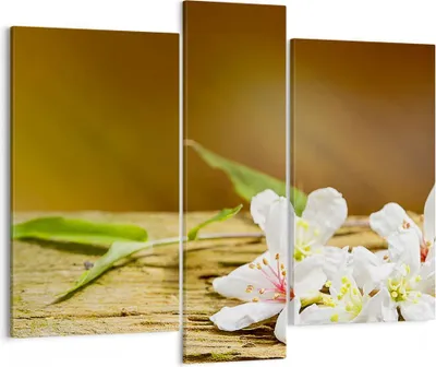 Produktbild von Bild auf Leinwand - Leinwandbild - Asien spa bambus blume - 95x80cm - Wand Bild - Wanddeko - Leinwanddruck - Bilder - Kunstdruck - Wanddekoration - Leinwand bilder - Wandkunst - CB95x80-2499