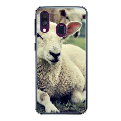 Produktbild von MuchoWow® Handyhülle Schutzhülle Hülle für Samsung Galaxy A40 Schaf - Lamm - Gras Silikon Softcase Handy Hülle - Handy-Tasche