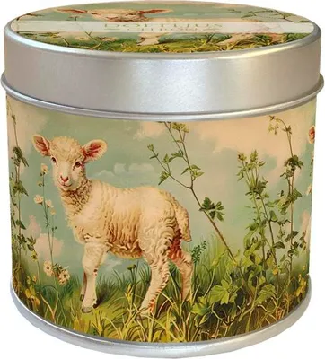 Productafbeelding van Vonnkaars in blik, Spring Animals, lammetje
