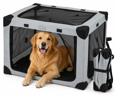 Faltbare Hundetransportbox, mittelgroß, mit Netzfenstern