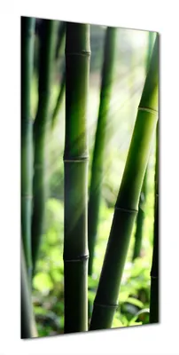 Produktbild von Wallario selbstklebende Duschrückwand 90 x 180 cm mit Motiv Bambuswald und Sonnenstrahlen - Wandverkleidung mit Hochglanzlaminat in Glasoptik