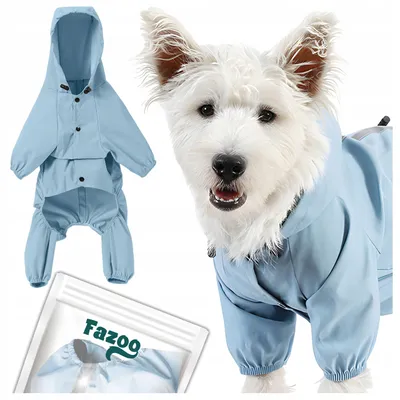 Produktbild von Fazoo Hunderegenmantel Blau Reflektierend Größe S