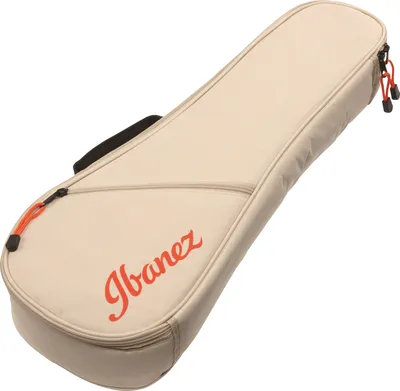 Image de Ibanez IUBC301-BE